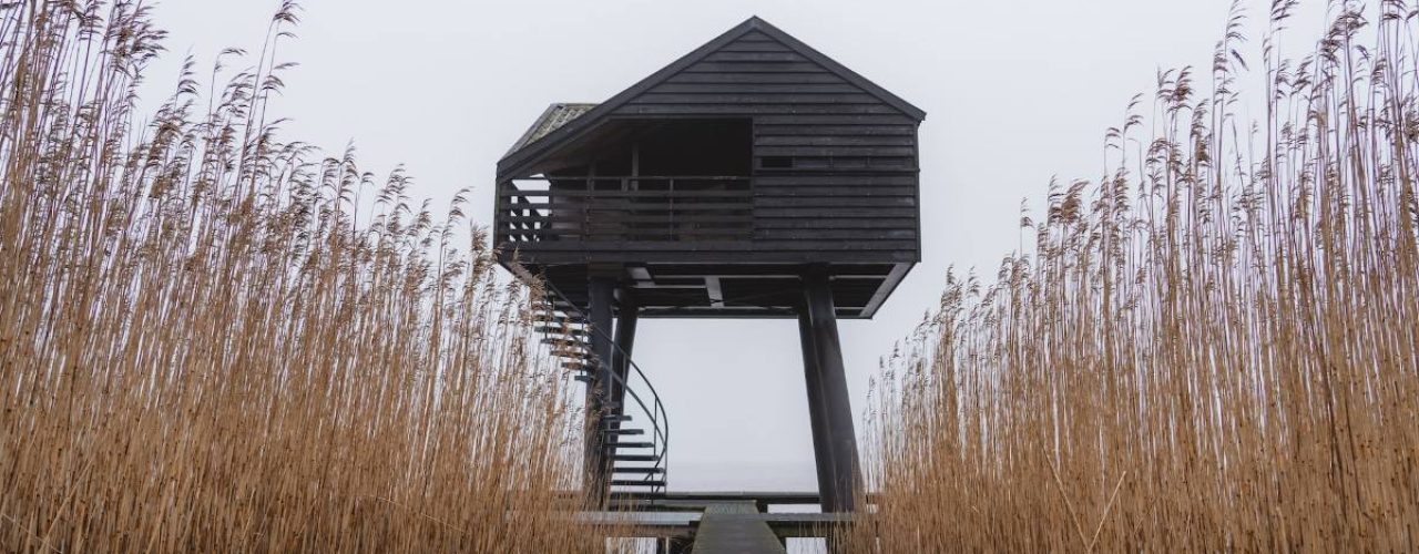 kleinkinderen de natuur groningen