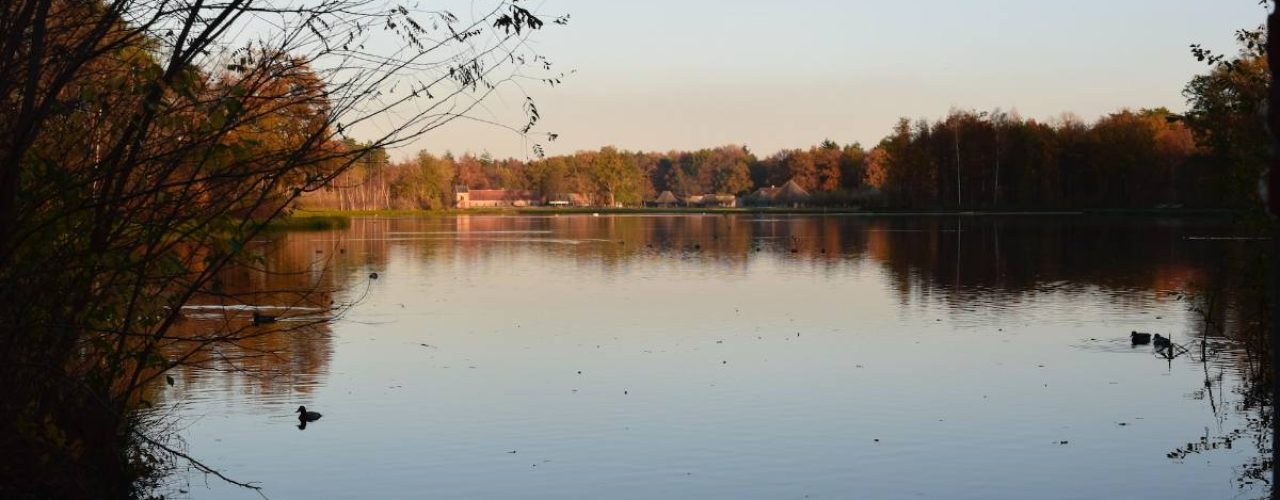 kleinkinderen de natuur limburg