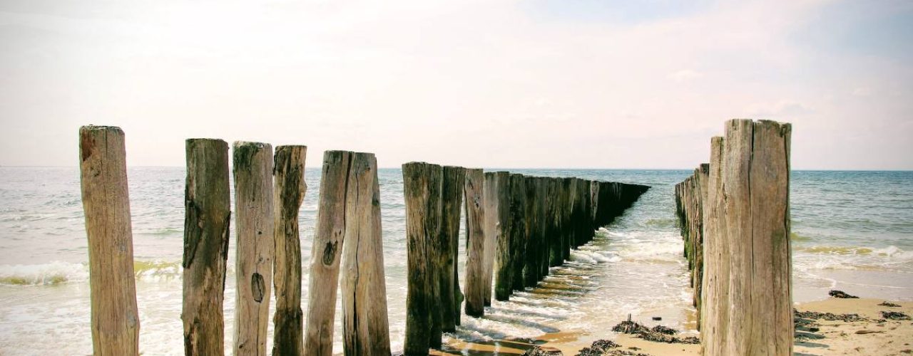 kleinkinderen de natuur zeeland